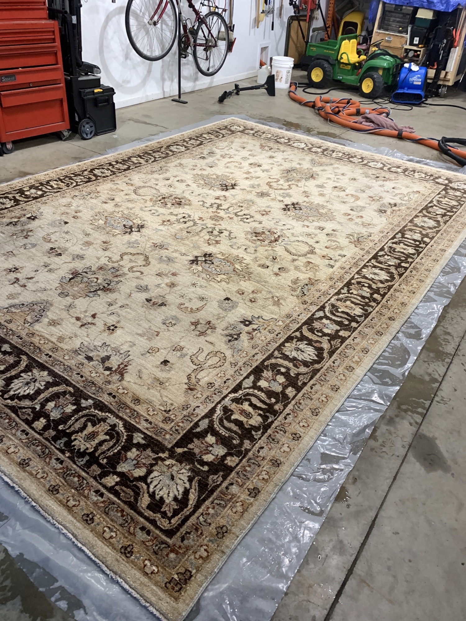 Area Rugs — photo 1