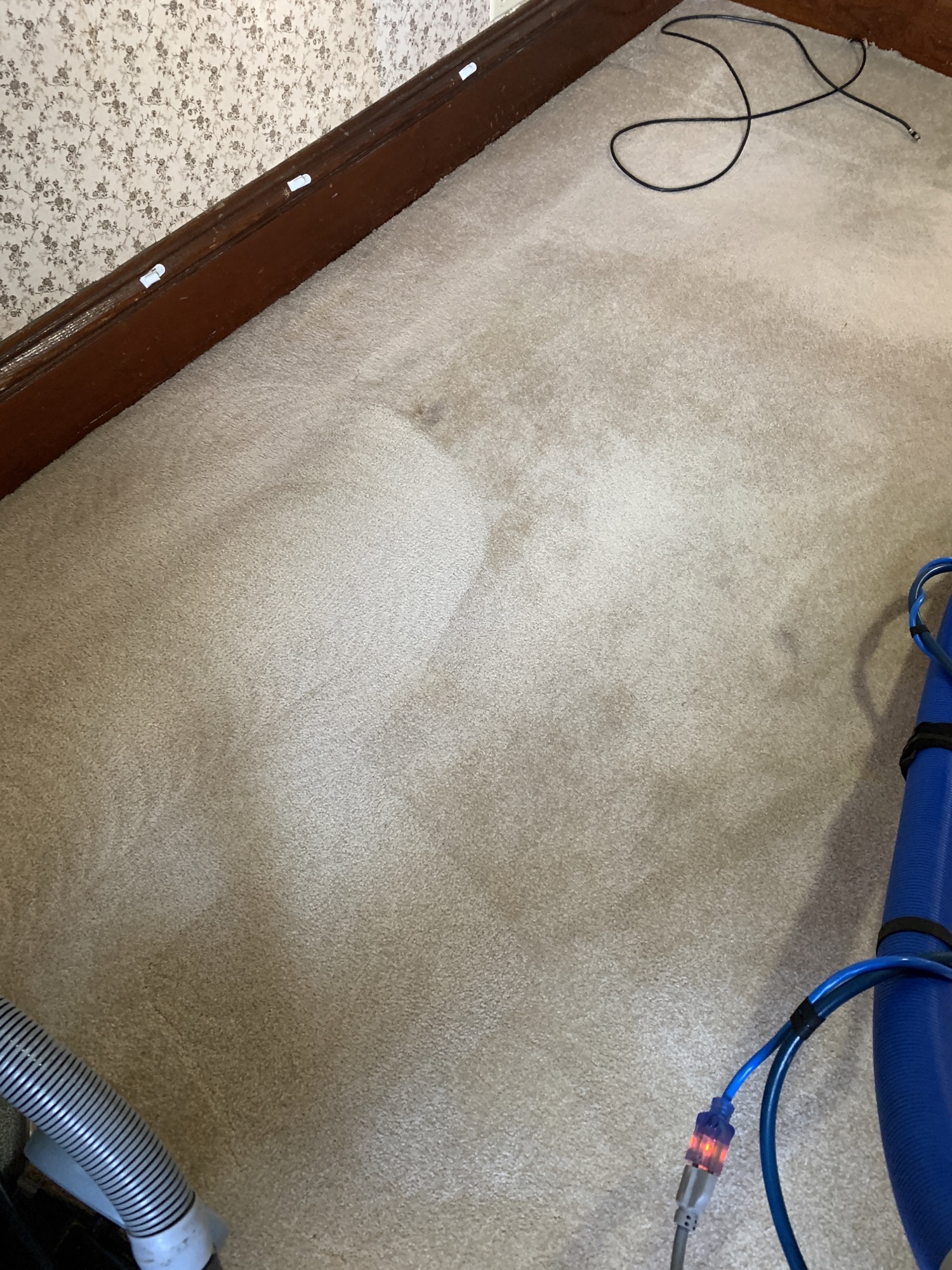 Carpet Cleaning — photo 1
