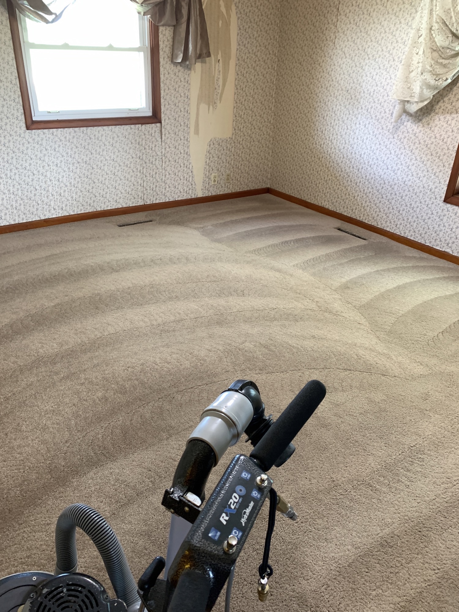 Carpet Cleaning — photo 2
