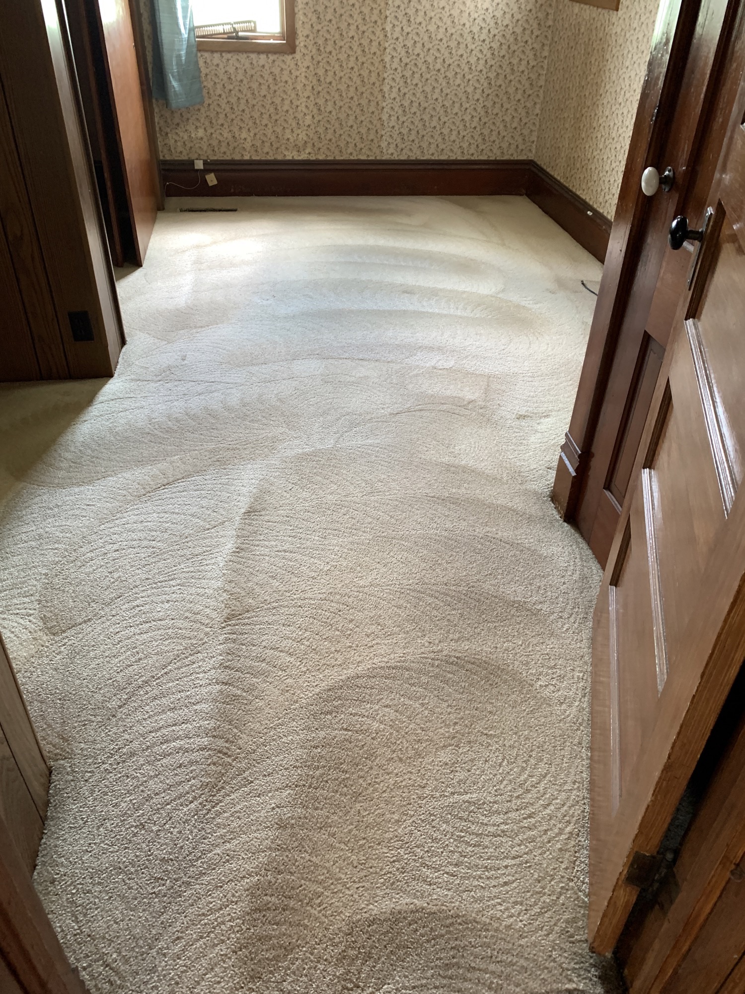 Carpet Cleaning — photo 3