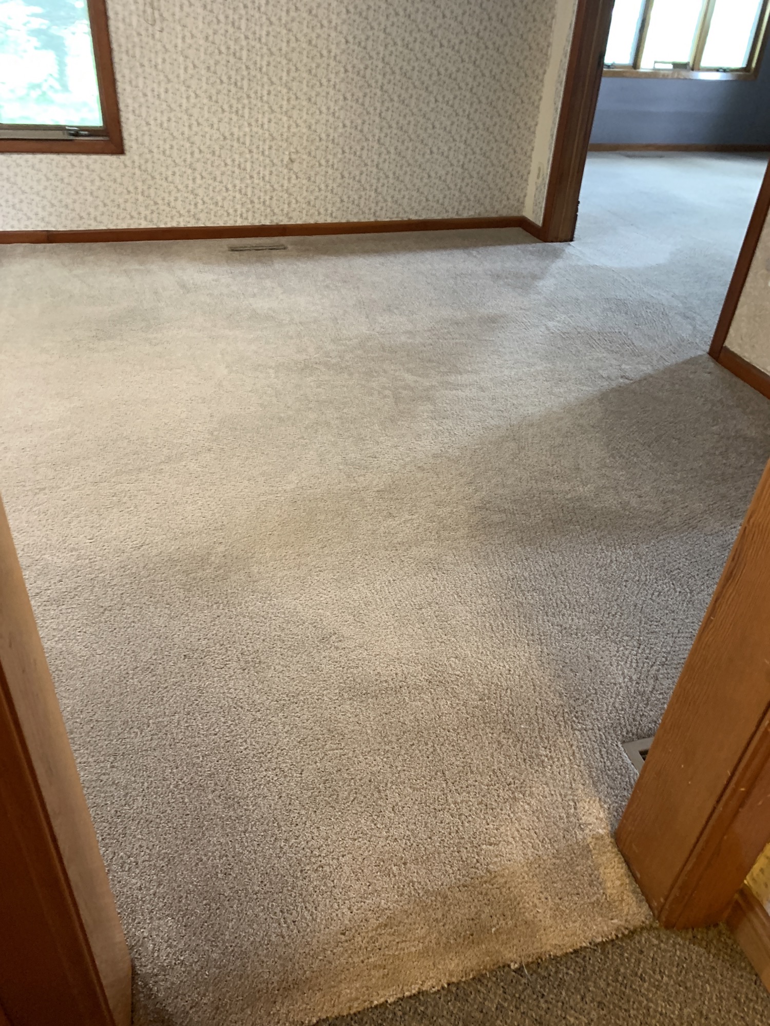 Carpet Cleaning — photo 5