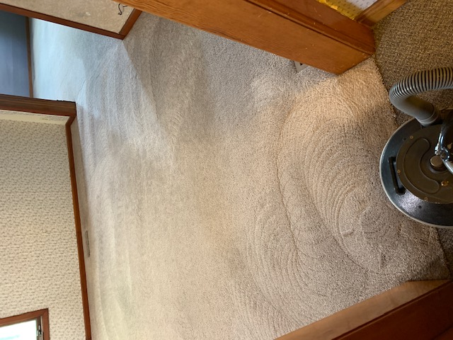 After – Carpet Cleaning