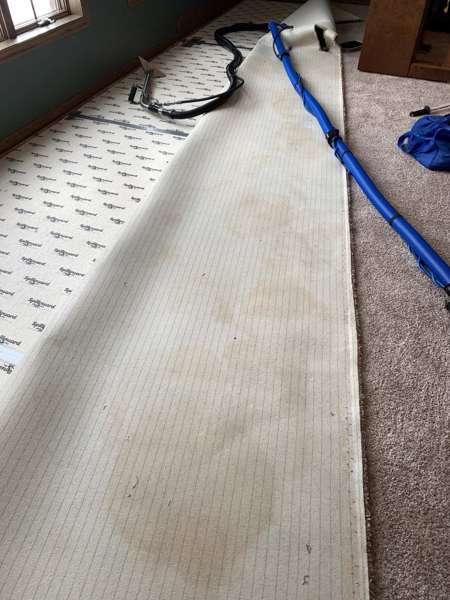 Pet Stain & Odor Removal — photo 2
