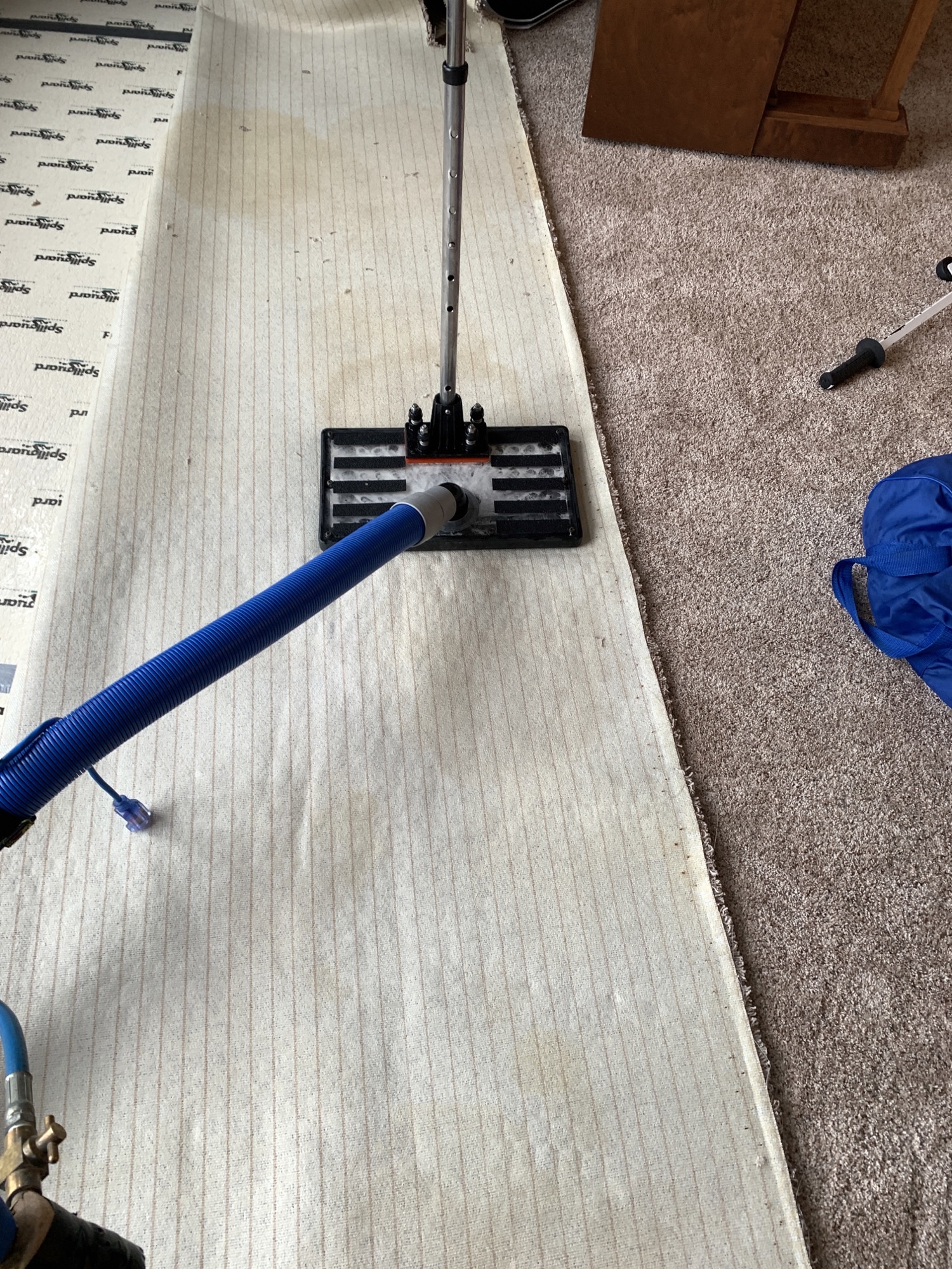 Pet Stain & Odor Removal — photo 3