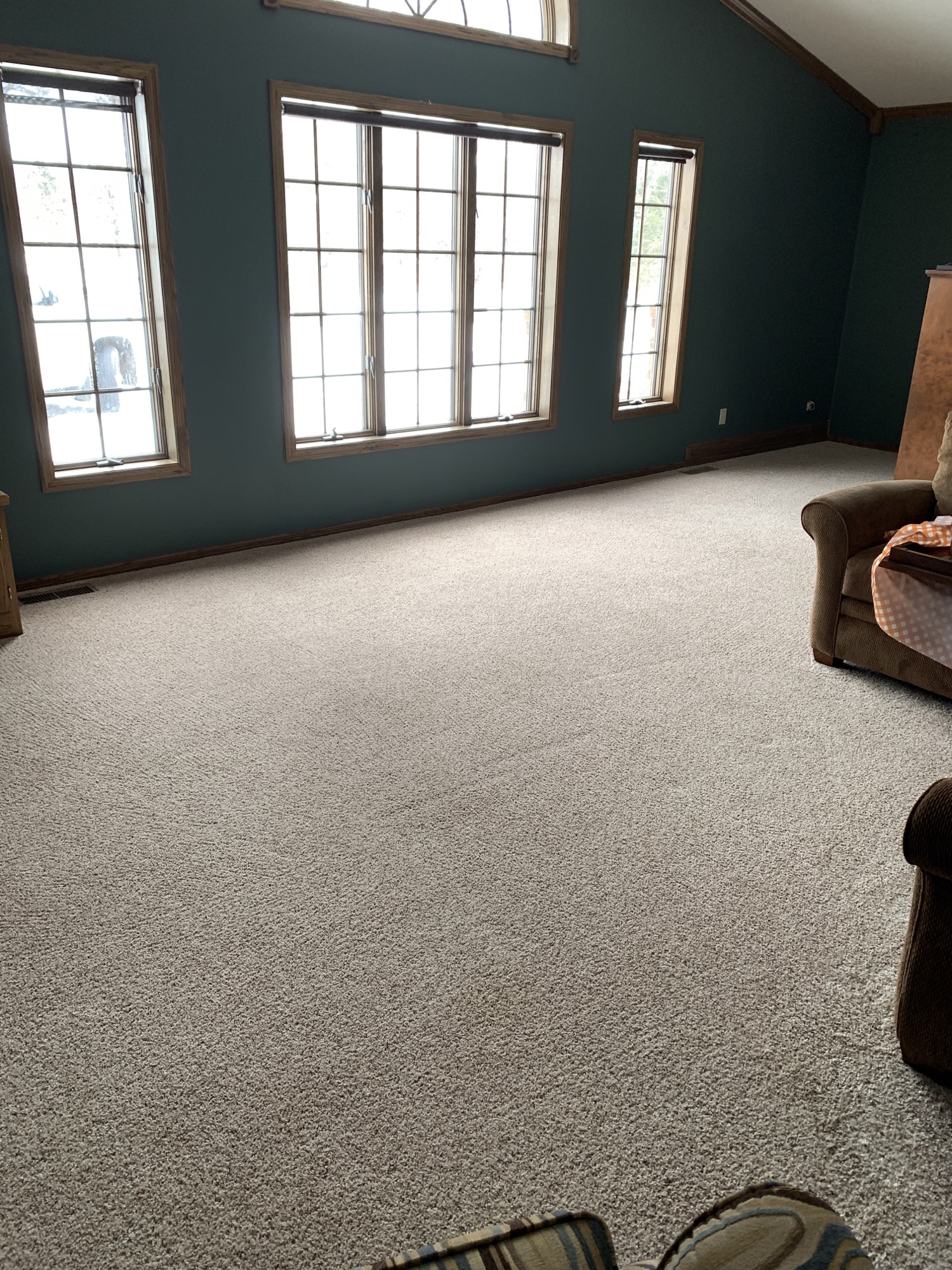 Pet Stain & Odor Removal — photo 6