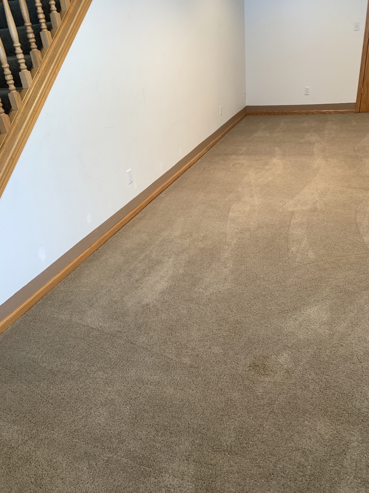 Carpet cleaning before and after